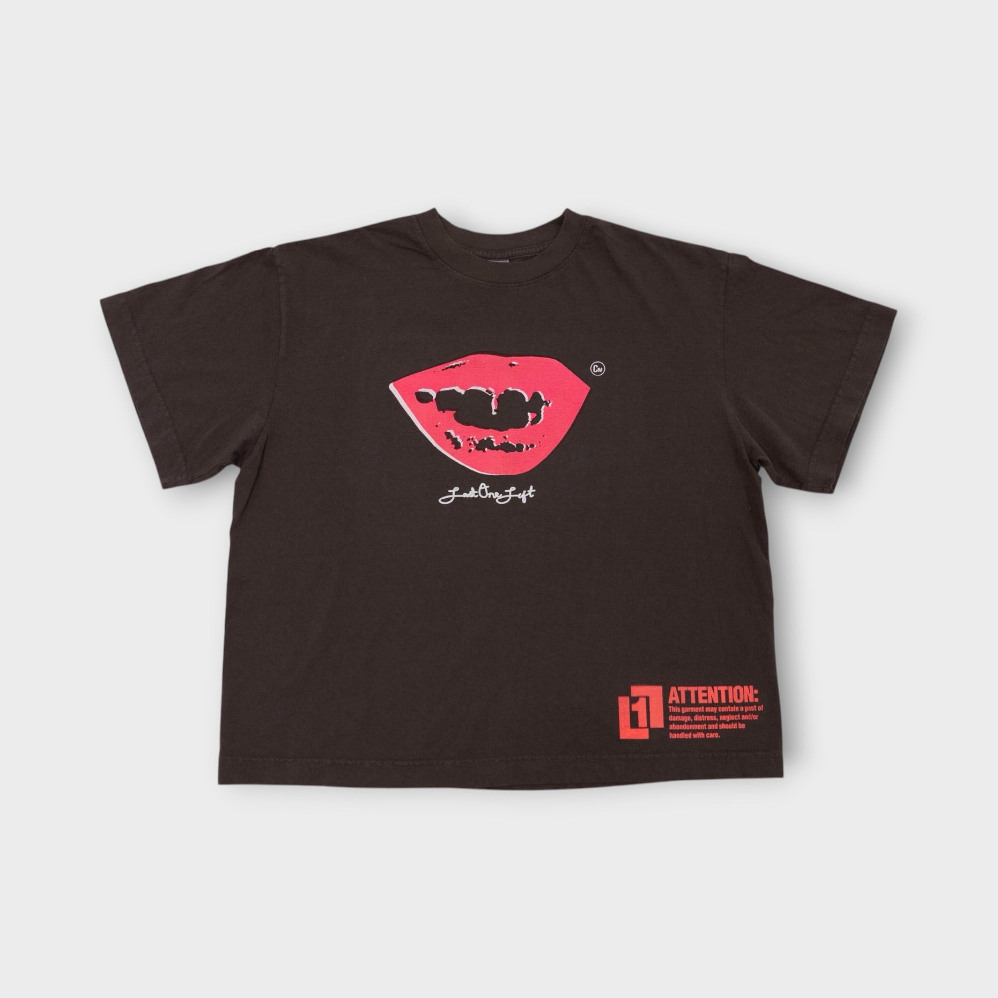 Smile Boxy Tee - Soil